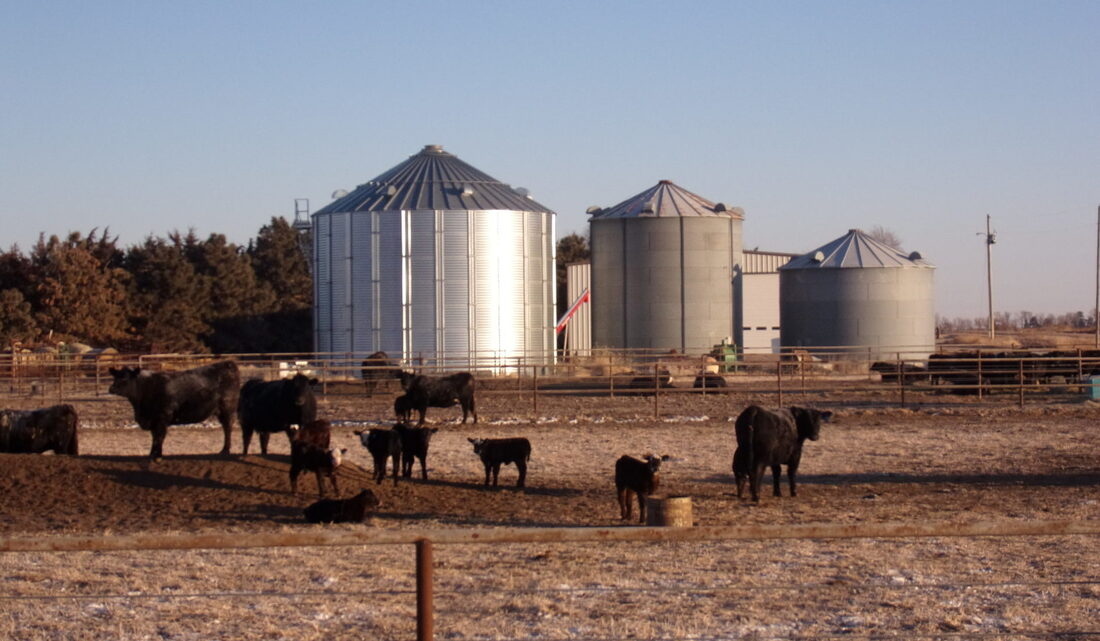 XF-Nebraska cattle farm